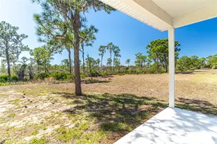 1413 Bittersweet St, Lake Placid, FL 33852 - Photo 10