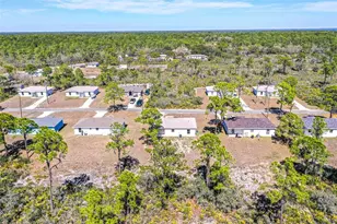 1413 Bittersweet St, Lake Placid, FL 33852 - Photo 18