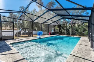 2908 Blackwater Oaks Dr, Mulberry, FL 33860 - Photo 40