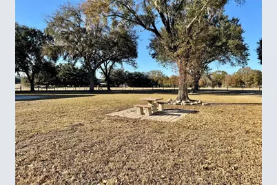 3713 Smith Ryals Road, Plant City, FL 33567 - Photo 20