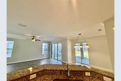 4307 Rustic Pine Place, Wesley Chapel, FL 33544 - Photo 10