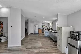 31 Cactus Cir N, Winter Haven, FL 33880 - Photo 22