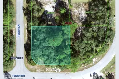 1705 Tench Lane, Kissimmee, FL 34759 - Photo 1