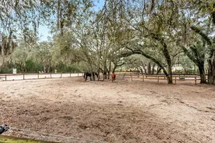 422 E McCormick Rd, Apopka, FL 32703 - Photo 78