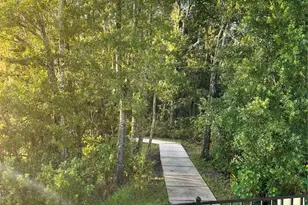 3676 Peregrine Wy, Lakeland, FL 33811 - Photo 50