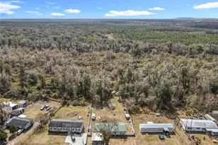 4012 Shady Hammock Dr, Mulberry, FL 33860 - Photo 48