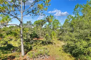 730 McClellan Rd, Frostproof, FL 33843 - Photo 48