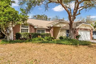 12224 Wildbrook Dr, Riverview, FL 33569 - Photo 44