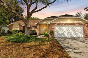 12224 Wildbrook Dr, Riverview, FL 33569 - Photo 2