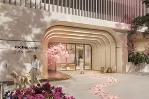 344 4th St S, Saint Petersburg, FL 33701 - Photo 2