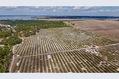 478 Humphrey Avenue, Lake Placid, FL 33852 - Photo 34