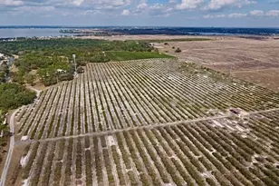 478 Humphrey Ave, Lake Placid, FL 33852 - Photo 34