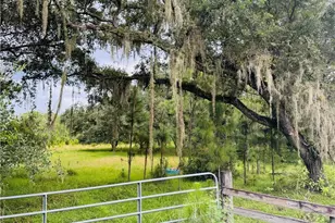 Detjens Dairy Rd, Venus, FL 33960 - Photo 8