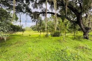 Detjens Dairy Rd, Venus, FL 33960 - Photo 4