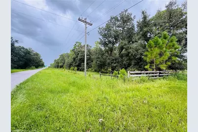 Detjens Dairy Road, Venus, FL 33960 - Photo 10