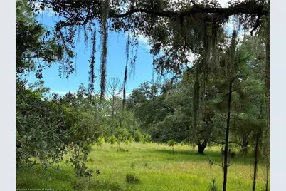 Detjens Dairy Road, Venus, FL 33960 - Photo 6