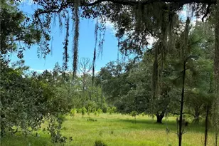 Detjens Dairy Rd, Venus, FL 33960 - Photo 6