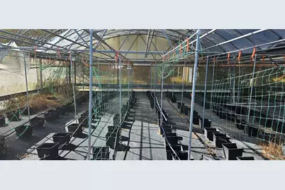 3557 Kokomo Road, Haines City, FL 33844 - Photo 6