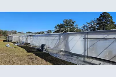 3557 Kokomo Road, Haines City, FL 33844 - Photo 8