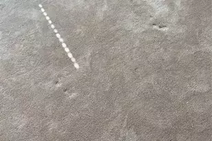 318 Ardmore St, Davenport, FL 33897 - Photo 10