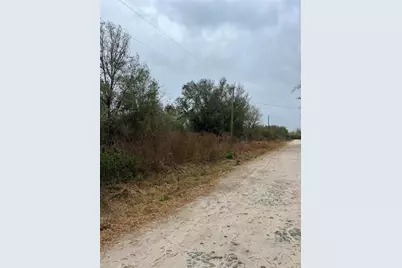 1137 Hopkins Lane, Zolfo Springs, FL 33890 - Photo 4