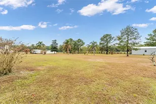 7729 Lake Andrea Cir, Mount Dora, FL 32757 - Photo 34