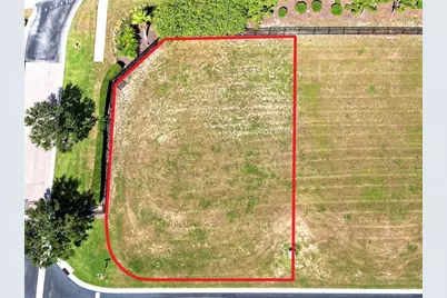 508 Bonamia Avenue, Lake Alfred, FL 33850 - Photo 6