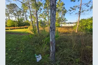 3813 5th Street SW, Lehigh Acres, FL 33976 - Photo 8