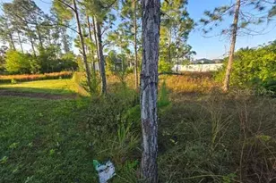 3813 5th St SW, Lehigh Acres, FL 33976 - Photo 8