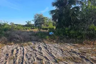 3813 5th St SW, Lehigh Acres, FL 33976 - Photo 22