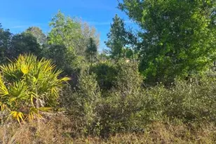 3813 5th St SW, Lehigh Acres, FL 33976 - Photo 12