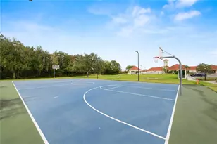 3406 Fiddle Leaf Way, Lakeland, FL 33811 - Photo 56