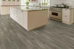 216 Dancing Dahlia St, Ruskin, FL 33570 - Photo 4