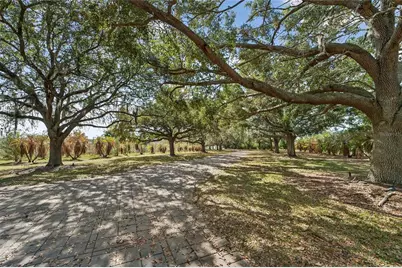 501 Adams Barn Road, Auburndale, FL 33823 - Photo 64