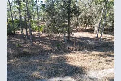 707 Laguna Drive, Indian Lake Estates, FL 33855 - Photo 6