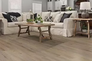 135 Dancing Dahlia St, Ruskin, FL 33570 - Photo 4