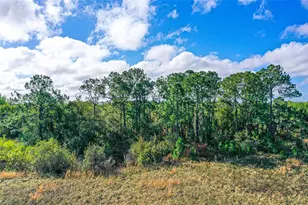 0, Winter Haven, FL 33880 - Photo 1