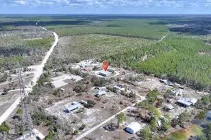 19550 Jody Morgan Road S, Perry, FL 32348 - Photo 22