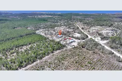 19550 Jody Morgan Road S, Perry, FL 32348 - Photo 26