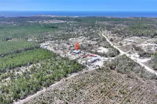 19550 Jody Morgan Road S, Perry, FL 32348 - Photo 26