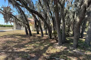 2052 W Stryker Rd, Avon Park, FL 33825 - Photo 8