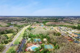 31518 Bearded Oak Dr, Wesley Chapel, FL 33543 - Photo 48