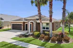 31518 Bearded Oak Dr, Wesley Chapel, FL 33543 - Photo 2