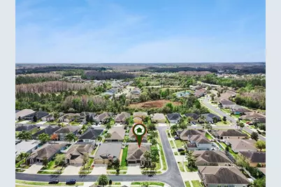 31518 Bearded Oak Drive, Wesley Chapel, FL 33543 - Photo 52