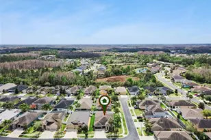 31518 Bearded Oak Dr, Wesley Chapel, FL 33543 - Photo 52