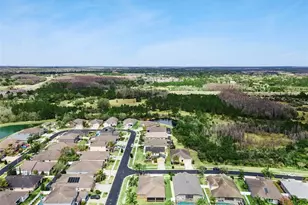 31518 Bearded Oak Dr, Wesley Chapel, FL 33543 - Photo 50