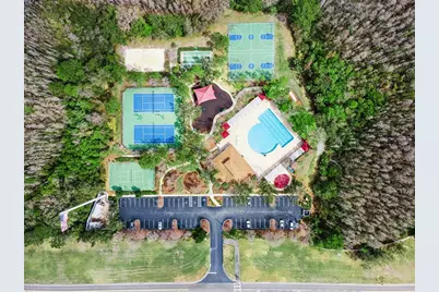 31518 Bearded Oak Drive, Wesley Chapel, FL 33543 - Photo 46