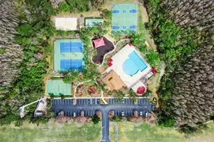 31518 Bearded Oak Dr, Wesley Chapel, FL 33543 - Photo 46