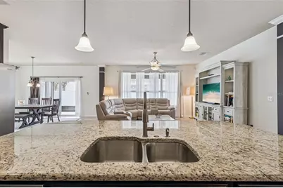 31518 Bearded Oak Drive, Wesley Chapel, FL 33543 - Photo 20