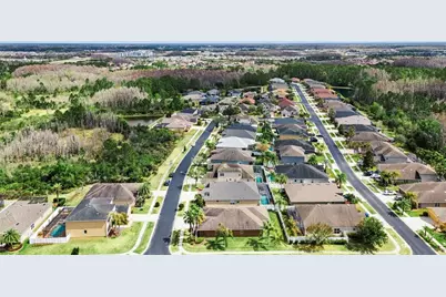 31518 Bearded Oak Drive, Wesley Chapel, FL 33543 - Photo 54